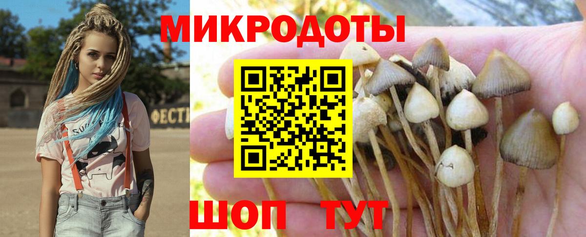 Псилоцибиновые грибы Psilocybine cubensis  где можно купить наркотик  Грозный  Вход с VPN 