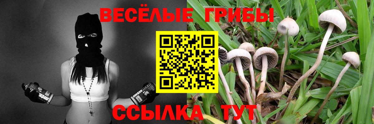 Галлюциногенные грибы ЛСД Грозный